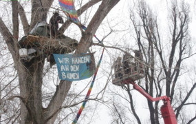 Foto von Baumbesetzungsplattform mit Banner "Wir hängen an den Bäumen"