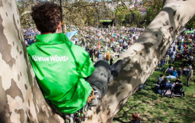 Foto Mensch im Baum über Menschenmasse im Park, Foto: Chris Grodotzki